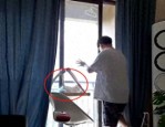 你的猫其实是个杀手？疯狂猫咪的日常